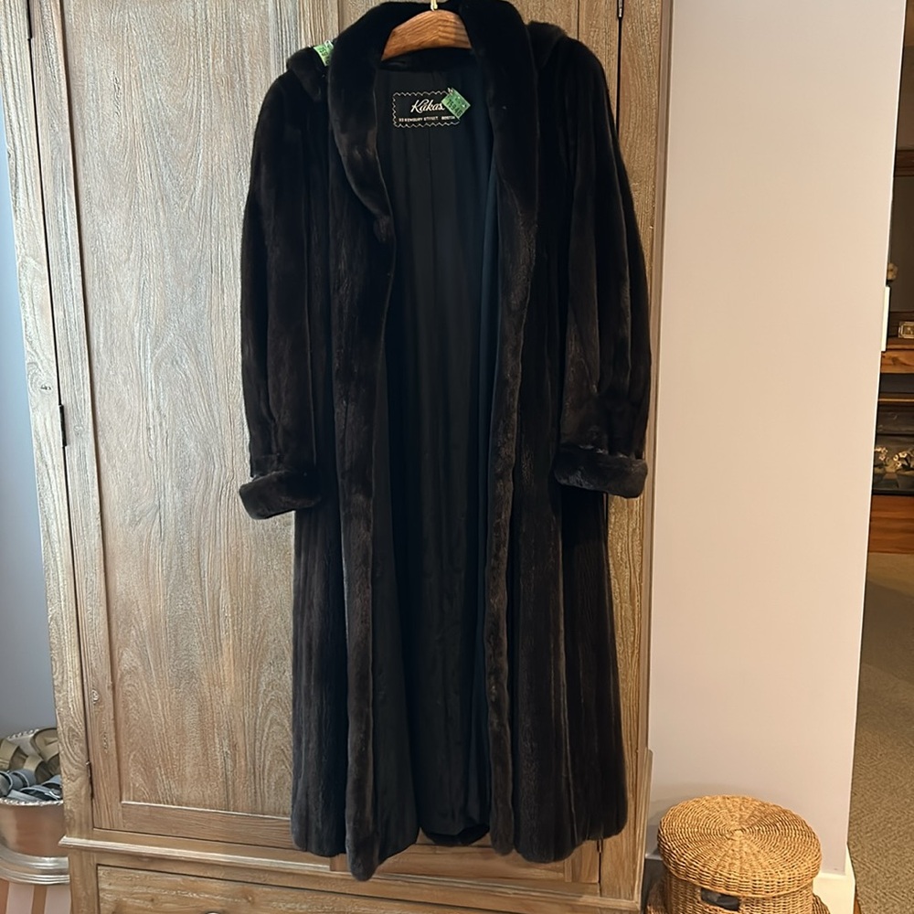 KAKAS MINK